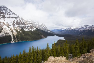 Summer landscape in Peyto lake, Banff National Park in Canada