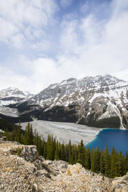 Summer landscape in Peyto lake, Banff National Park in Canada