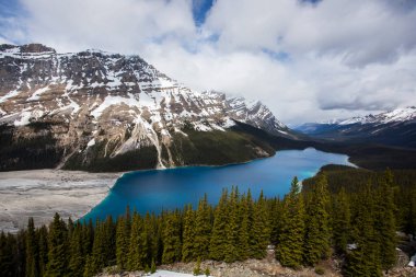 Summer landscape in Peyto lake, Banff National Park in Canada