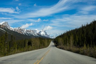 Summer landscape in Jasper National Park in Canada