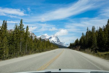 Summer landscape in Jasper National Park in Canada