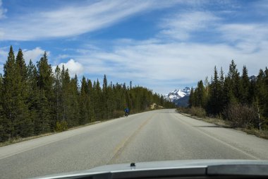 Summer landscape in Jasper National Park in Canada