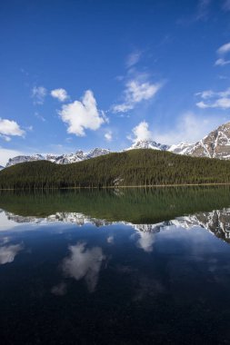 Summer landscape in Jasper National Park in Canada