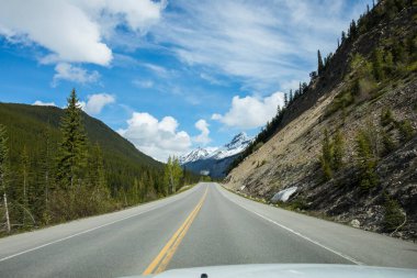 Summer landscape in Jasper National Park in Canada