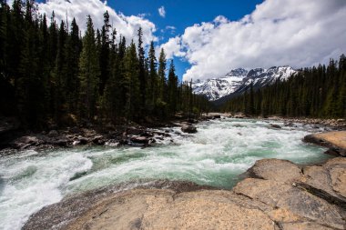 Summer landscape in Mistaya Canyon, Banff National Park in Canada