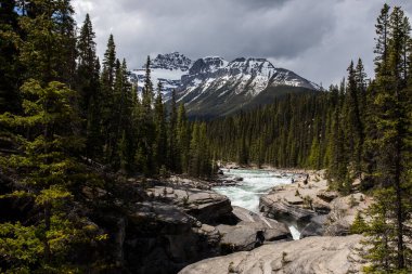 Summer landscape in Mistaya Canyon, Banff National Park in Canada