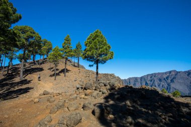 Bejenado Tepesi 'nin genç kadın zirvesi Caldera De Taburiente, La Palma, Kanarya Adaları, İspanya