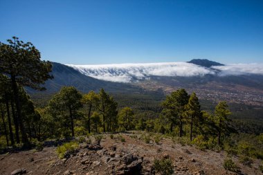 Landscaoe in Bejenado Peak in Caldera De Taburiente, La Palma, Canary Islands, Spain