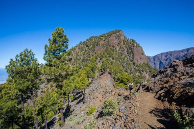 Bejenado Tepesi 'nin genç kadın zirvesi Caldera De Taburiente, La Palma, Kanarya Adaları, İspanya