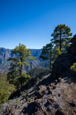 Landscaoe in Bejenado Peak in Caldera De Taburiente, La Palma, Canary Islands, Spain