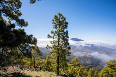 Landscaoe in Bejenado Peak in Caldera De Taburiente, La Palma, Canary Islands, Spain