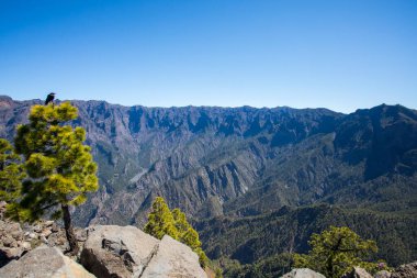 Landscaoe in Bejenado Peak in Caldera De Taburiente, La Palma, Canary Islands, Spain