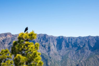 Landscaoe in Bejenado Peak in Caldera De Taburiente, La Palma, Canary Islands, Spain