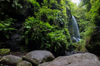 Scene of Tilos waterfall in La Palma Island, Canary Islands, Spain.