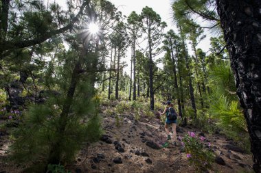 Birigoyo tepesine doğru yürüyen genç bir kadın, La Palma Adası, Kanarya Adaları, İspanya.