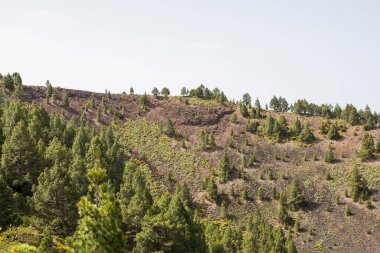 Scene of the Birigoyo peak, La Palma Island, Canary Islands, Spain.