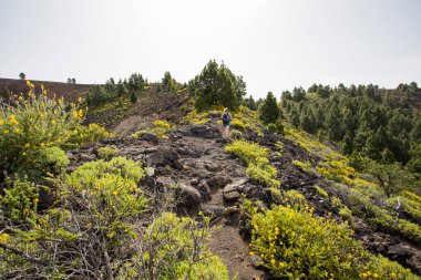 Birigoyo tepesine doğru yürüyen genç bir kadın, La Palma Adası, Kanarya Adaları, İspanya.