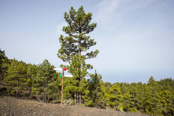 Scene Birigoyo Peak Palma Island Canary Islands Spain — Stockfoto
