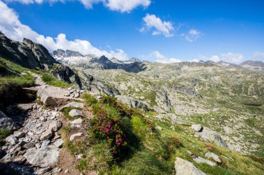 Summer landscape in Aiguestortes and Sant Maurici National Park, Pyrenees, Spain