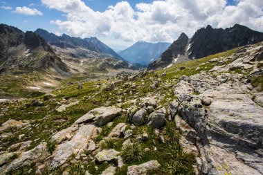 Summer landscape in Aiguestortes and Sant Maurici National Park, Pyrenees, Spain