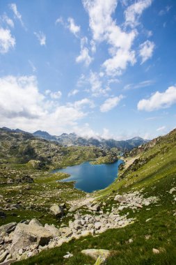 Summer landscape in Aiguestortes and Sant Maurici National Park, Pyrenees, Spain