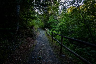 Summer in Uelhs Deth Joeu waterfall, Val D Aran, Pyrenees, Spain