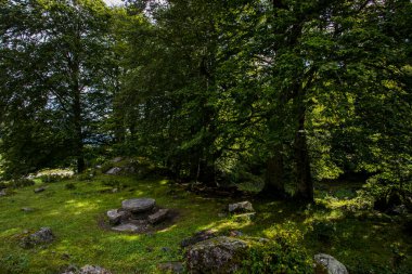 Summer in Uelhs Deth Joeu waterfall, Val D Aran, Pyrenees, Spain