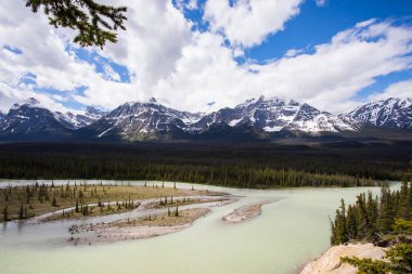 Summer landscape in Jasper National Park in Canada