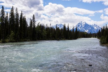 Summer landscape in Jasper National Park in Canada