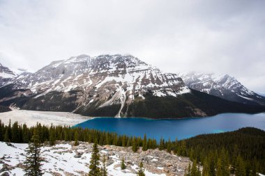 Summer landscape in Peyto lake, Banff National Park in Canada