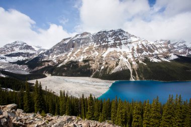 Summer landscape in Peyto lake, Banff National Park in Canada