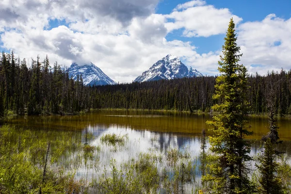 Summer Landscape Jasper National Park Canada — Fotografia de Stock