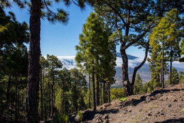 Landscaoe in Bejenado Peak in Caldera De Taburiente, La Palma, Canary Islands, Spain