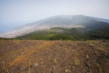 Scene of the Birigoyo peak, La Palma Island, Canary Islands, Spain.