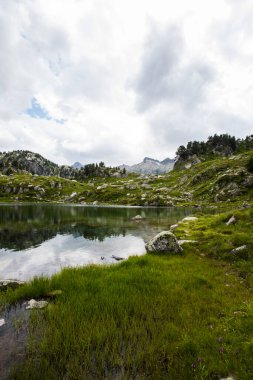 Summer landscape in Aiguestortes and Sant Maurici National Park, Pyrenees, Spain