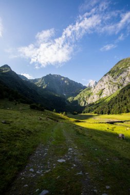 Summer in Uelhs Deth Joeu waterfall, Val D Aran, Pyrenees, Spain