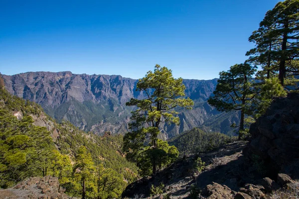 stock image Landscaoe in Bejenado Peak in Caldera De Taburiente, La Palma, Canary Islands, Spain