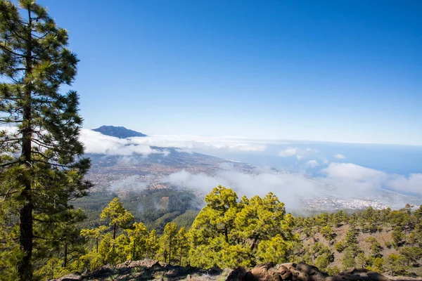 Landscaoe Bejenado Peak Caldera Taburiente Palma Canary Islands Spain — Stock Photo, Image
