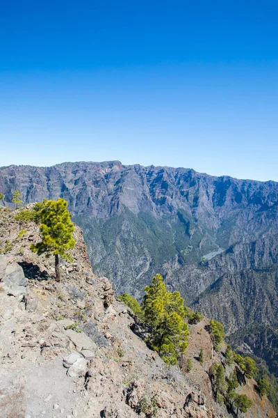 Landscaoe Bejenado Peak Caldera Taburiente Palma Wyspy Kanaryjskie Hiszpania — Zdjęcie stockowe