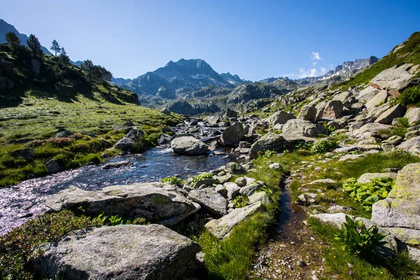 Summer landscape in Aiguestortes and Sant Maurici National Park, Pyrenees, Spain