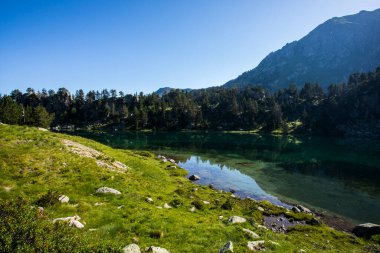 Summer landscape in Aiguestortes and Sant Maurici National Park, Pyrenees, Spain