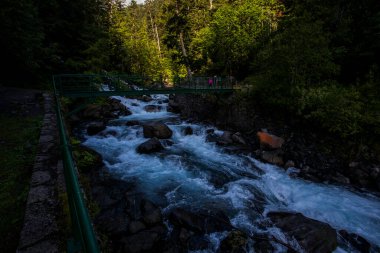 Summer in Uelhs Deth Joeu waterfall, Val D Aran, Pyrenees, Spain