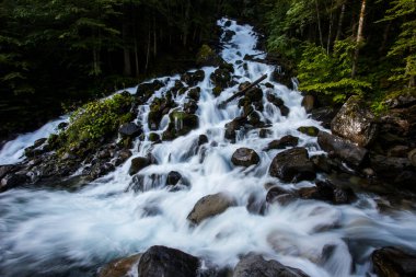 Summer in Uelhs Deth Joeu waterfall, Val D Aran, Pyrenees, Spain