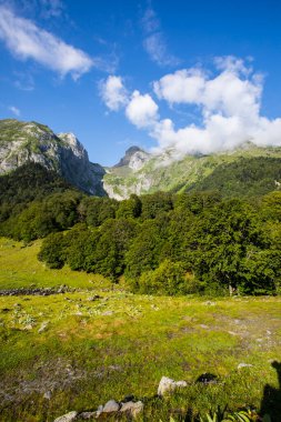 Summer in Uelhs Deth Joeu waterfall, Val D Aran, Pyrenees, Spain