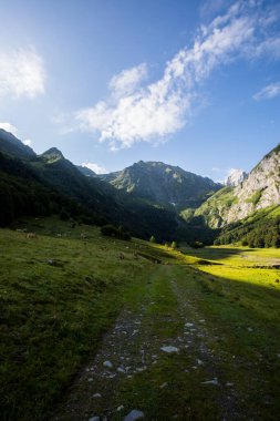 Summer in Uelhs Deth Joeu waterfall, Val D Aran, Pyrenees, Spain