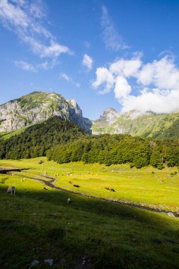 Summer in Uelhs Deth Joeu waterfall, Val D Aran, Pyrenees, Spain
