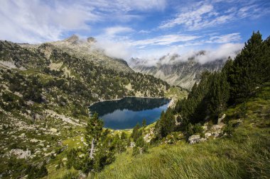 Summer landscape in Aiguestortes and Sant Maurici National Park, Pyrenees, Spain