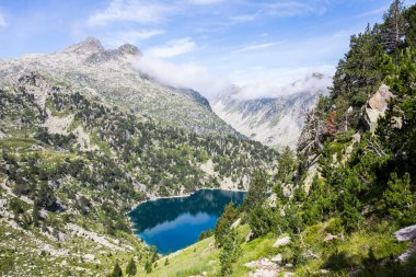 Summer landscape in Aiguestortes and Sant Maurici National Park, Pyrenees, Spain