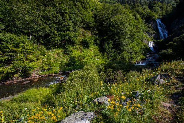 Summer Sauth Deth Pish Waterfall Val Aran Pyrenees Spain — Stockfoto