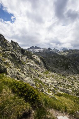 Summer landscape in Aiguestortes and Sant Maurici National Park, Pyrenees, Spain